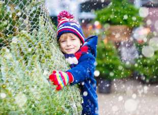 Weihnachtsbaumkauf als Familienerlebnis